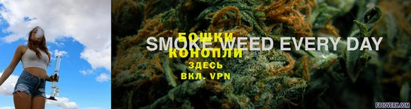 крисы Белоозёрский