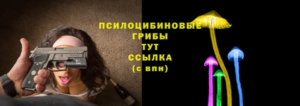 apvp Белокуриха