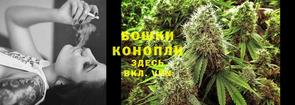 крисы Белоозёрский