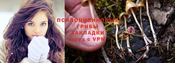 прущие крисы Беломорск