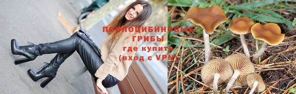 крисы Белоозёрский