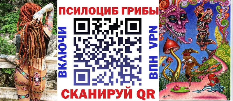 Купить закладки  Павловск  Псилоцибиновые грибы мицелий 