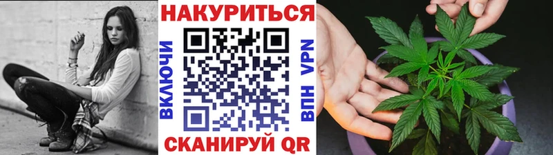 Купить где  Павловск  Конопля Ganja 